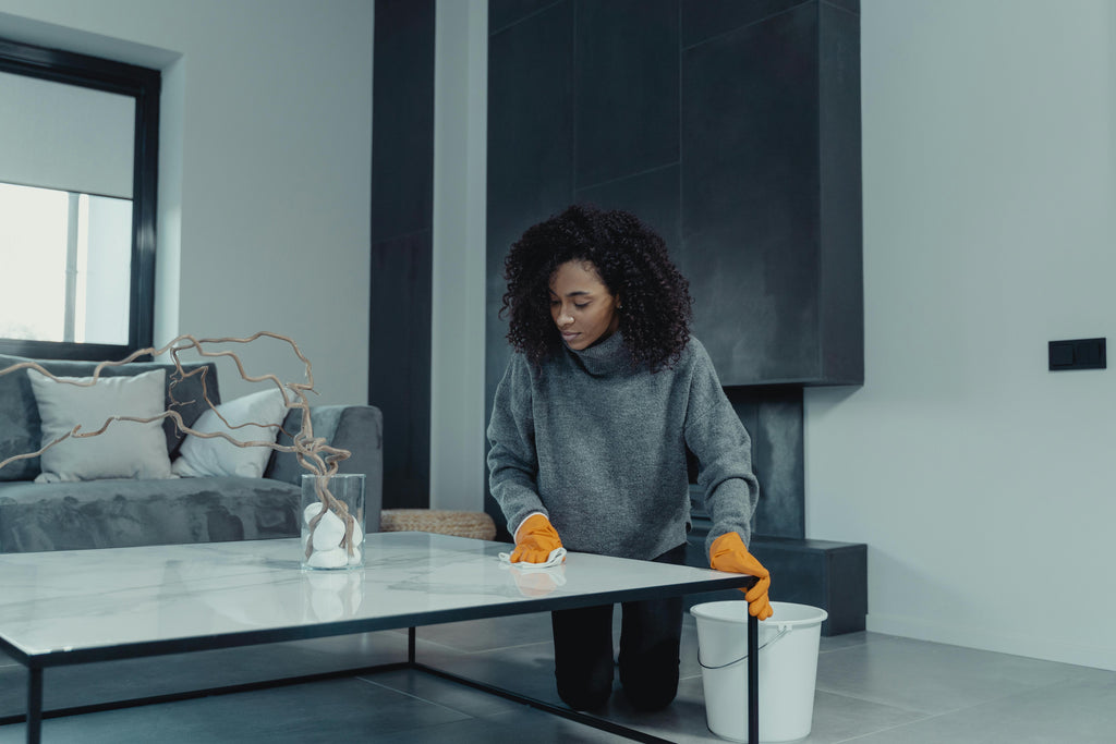 home and business cleaning